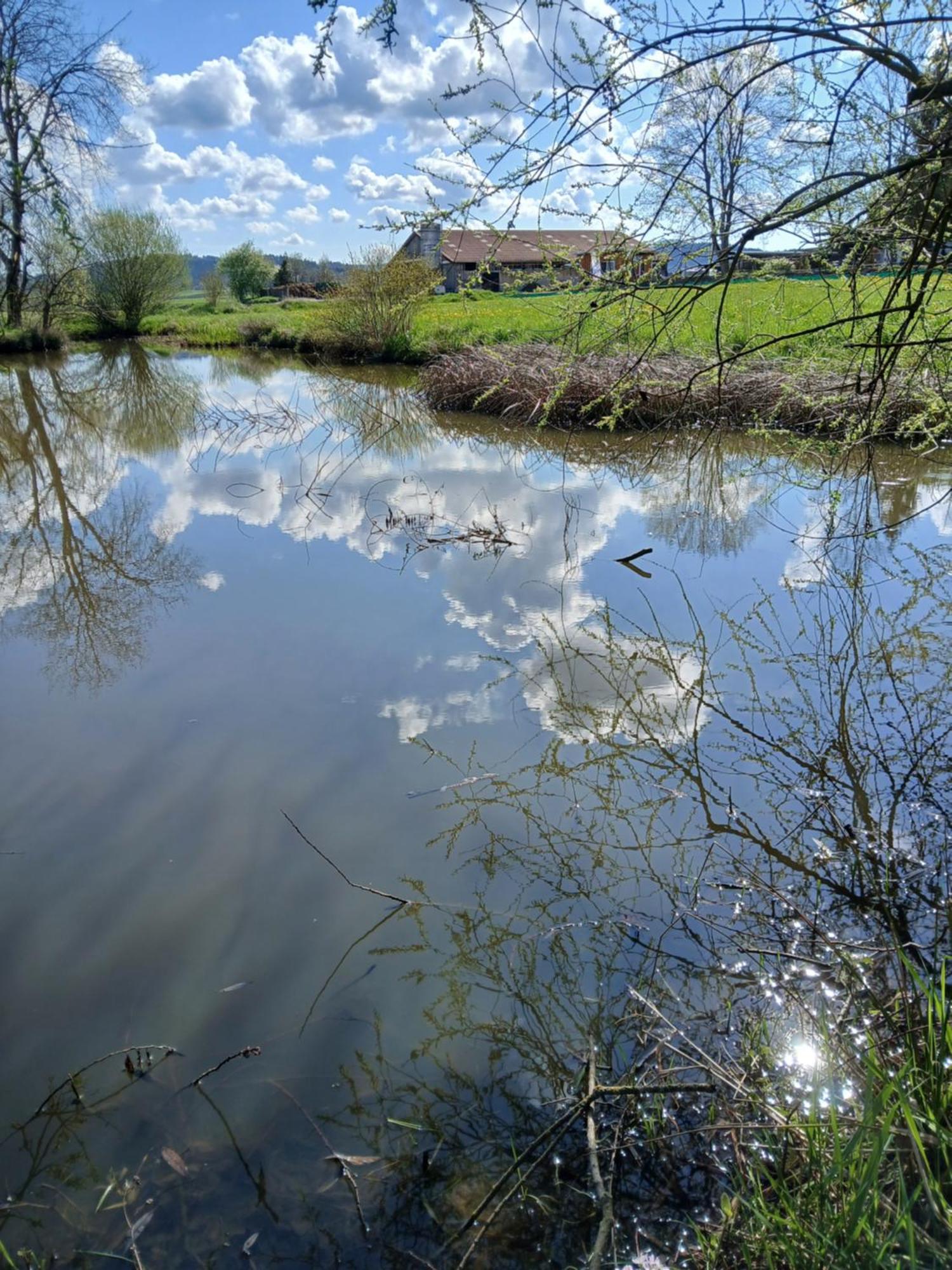 Landgasthof Zum Seehof روتفايل المظهر الخارجي الصورة